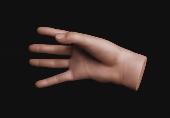 down palm